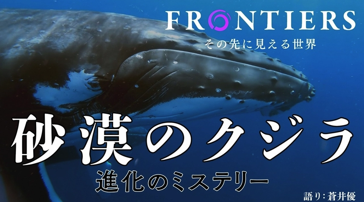 NHK「フロンティア 砂漠のクジラ～進化のミステリー」に出演します。