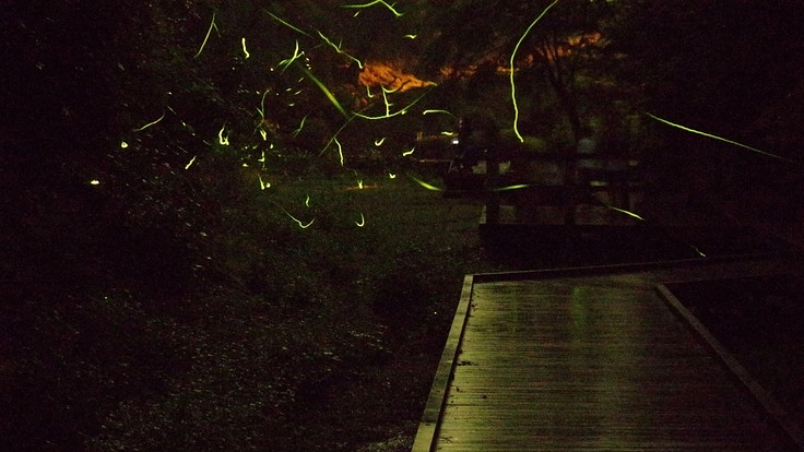 自分で作る理科の資料集を作りたい