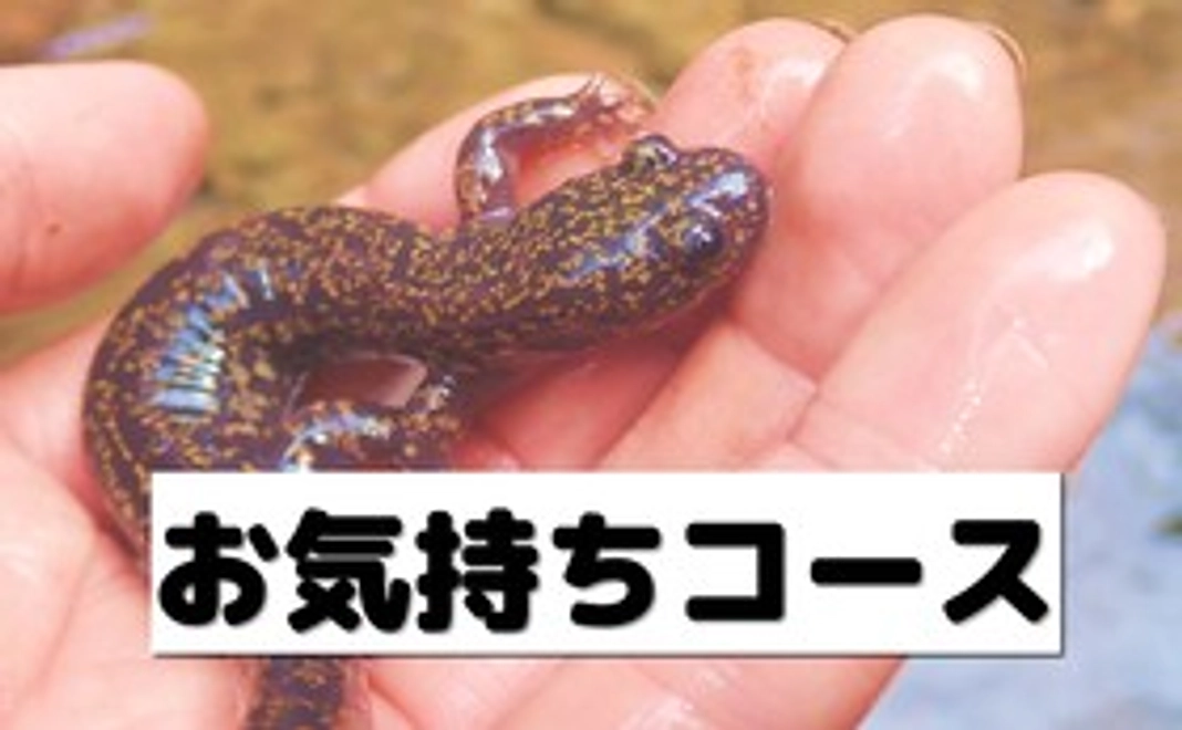 お気持ちコース