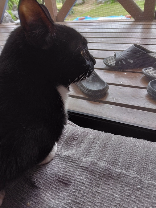 4/25はなちゃんの様子