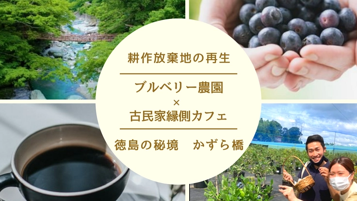 耕作放棄地と古民家を使ったブルーベリー園と古民家縁側カフェの開設