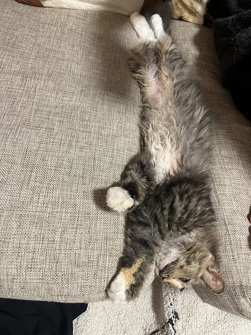 クラウドファンディング24日目、投薬67日目