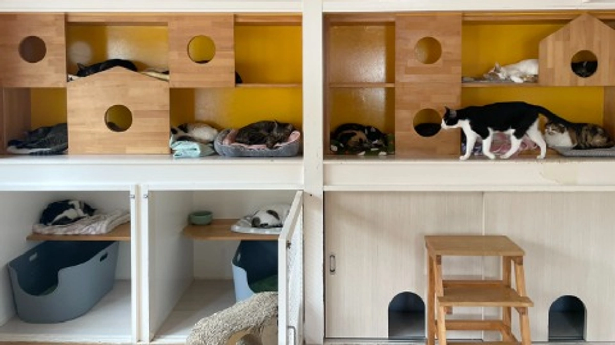 ＬＹＳＴＡ通信　R７年９月