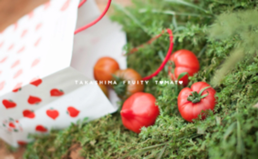 高島より感謝を込めて。高島トマト（情熱ハート／糖度9）