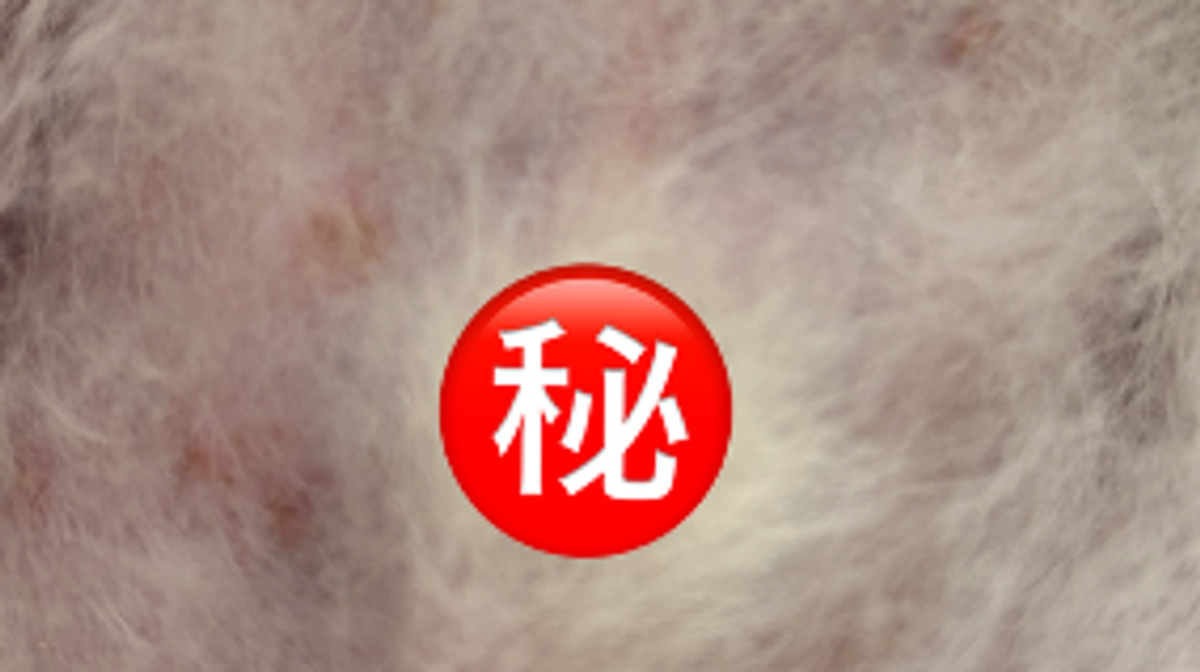 今度はお腹に湿疹💧