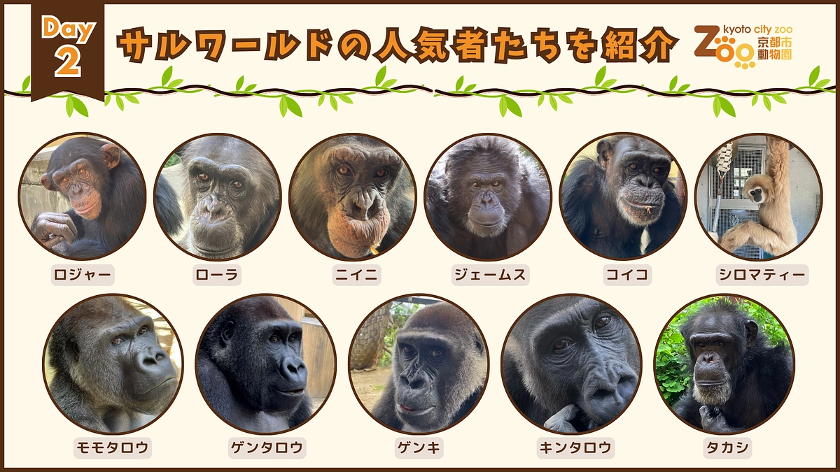 【クラファンWEEK｜Day2】サルワールドの人気者たちを紹介