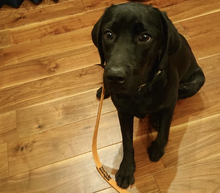 おっとりキュートな新入生が入りました！