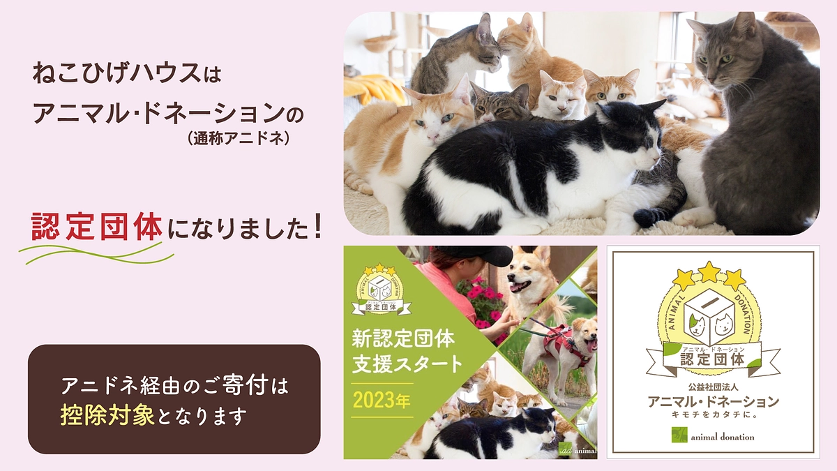 12月1日より公益社団法人アニマル・ドネーション（通称アニドネ）さんの認定団体になりました！