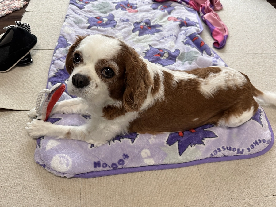 とうとうカウントダウンに入りました【57日目】