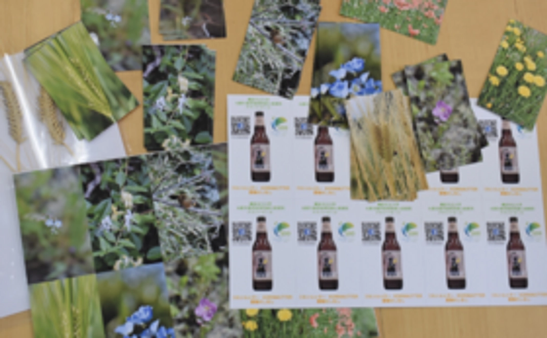 KORNMUTTER カード