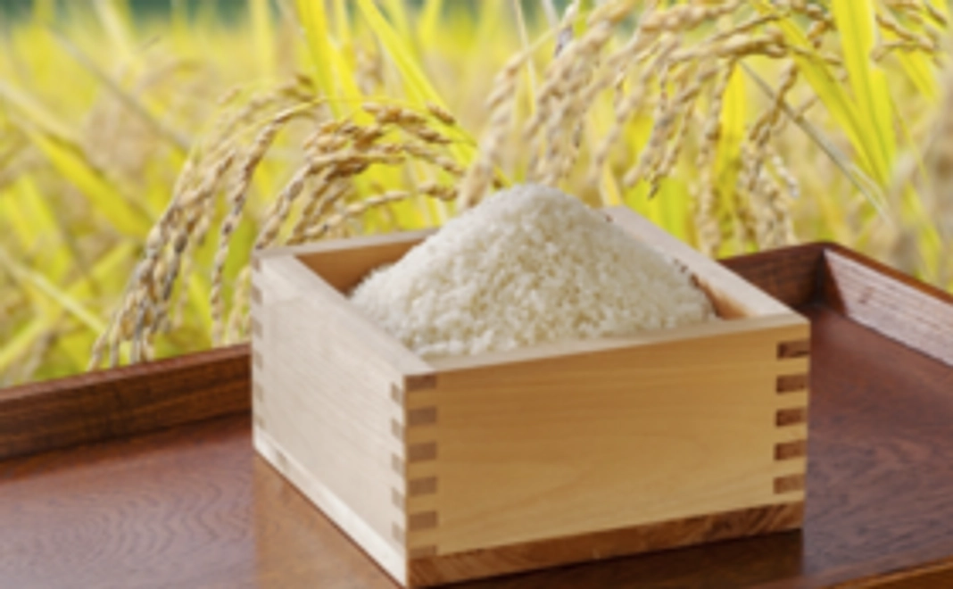 ありがとう新米セット