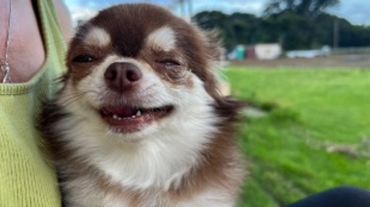 達成のご報告と心よりの感謝…！ᐡ• ˕ •ᐡ