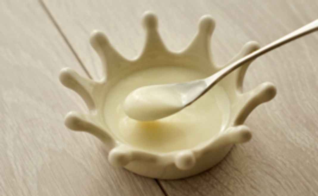 ソイヨーグルトをいち早くお届け！ヨーグルト10個セット