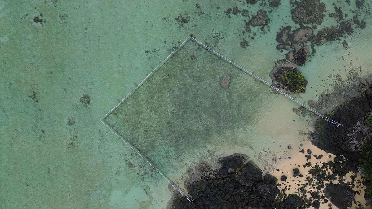 一年が経ちました