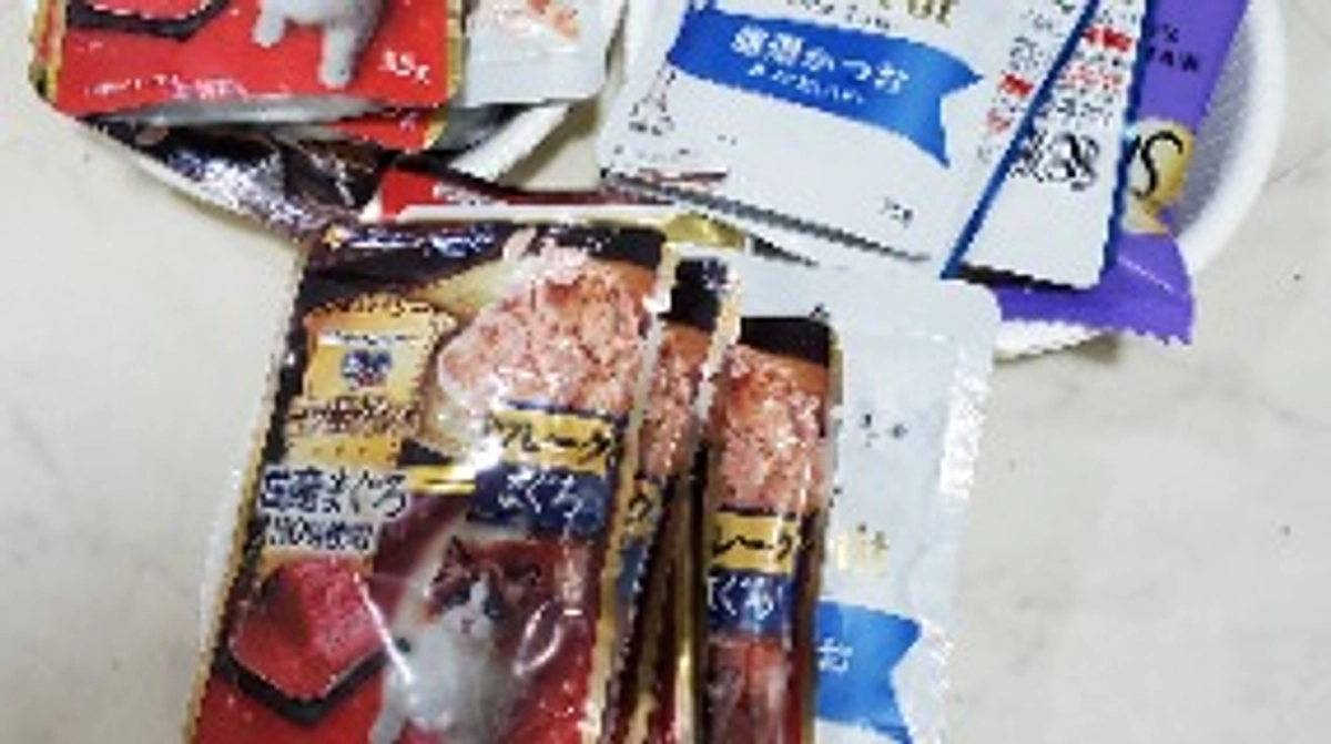 2/23 昨日もとても寒く、でも皆元気にご飯食べに来てくれました