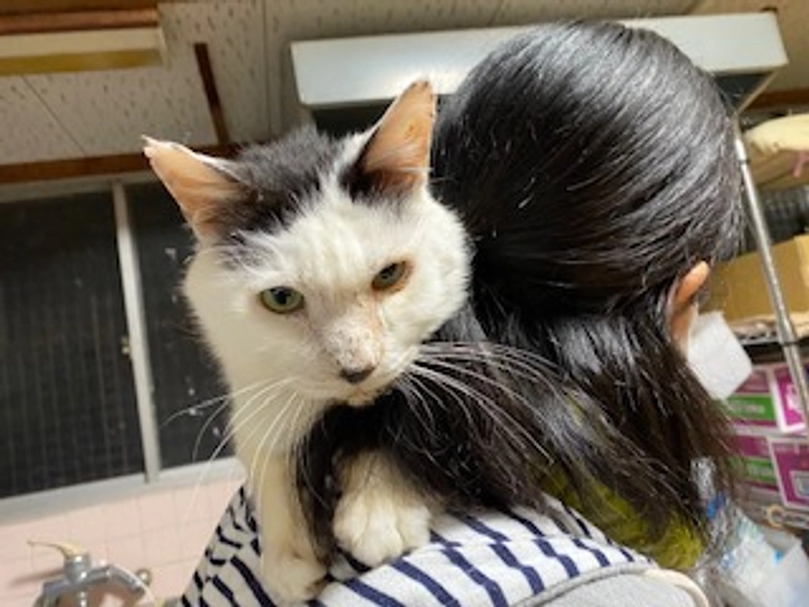 ありがとう、リーマン～皆様への感謝を胸に旅立ちました