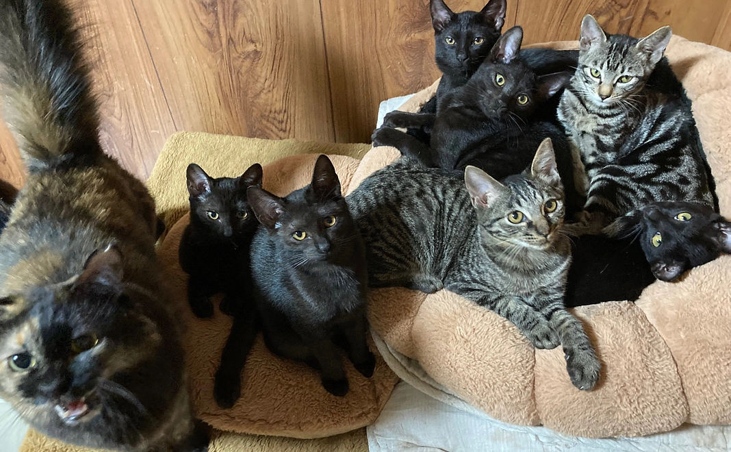 お礼のメール(1)