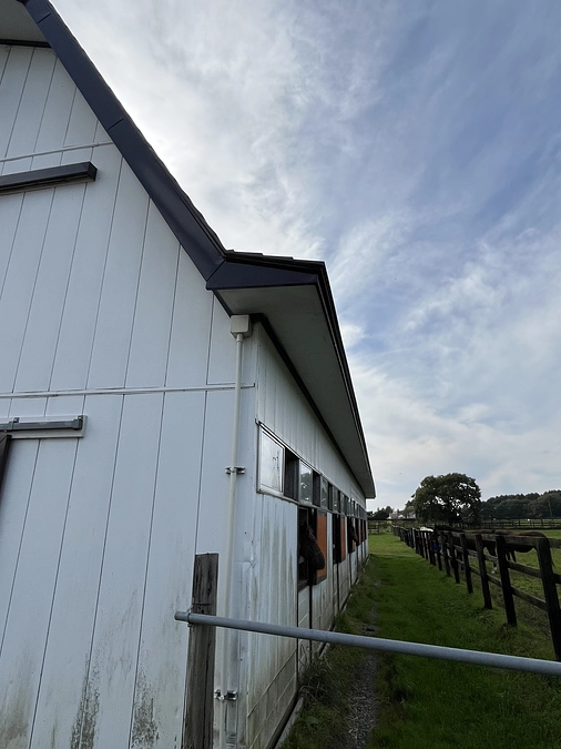 今日カメラ業者と牧場の打合せがありました