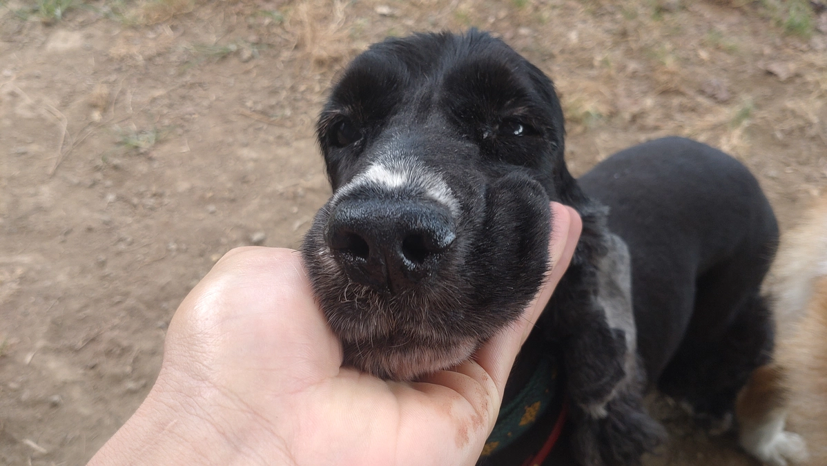 ステッカーが届きました！