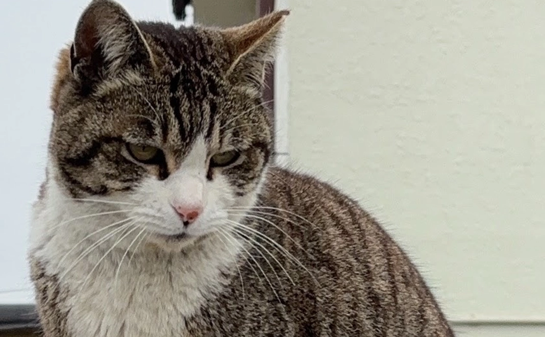 よろしくお願いいたします!!