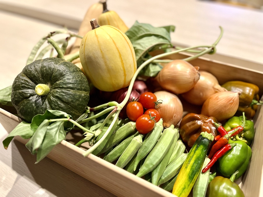 「淡路島・ドクター弁当」に架ける想い