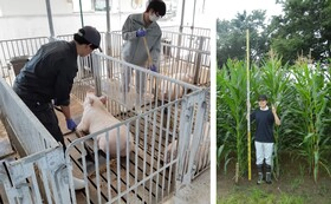 感謝のお手紙とともに、学生たちと一緒に取組むプロジェクトの活動報告書をお送りします