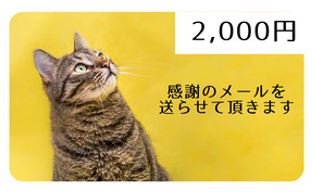 【感謝のメール】2,000円