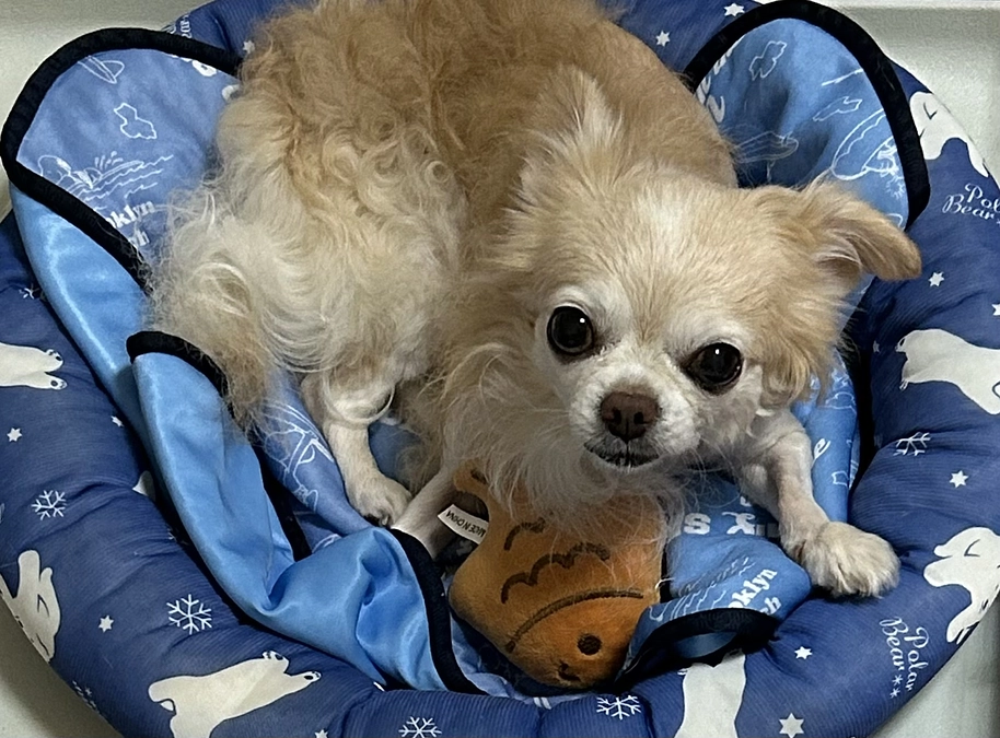 8/21無事退院できました。本当にありがとうございました🙇‍♀️