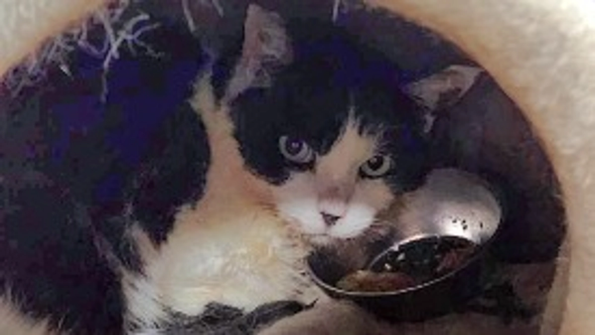 今日もジュニアと一緒に病院🏥