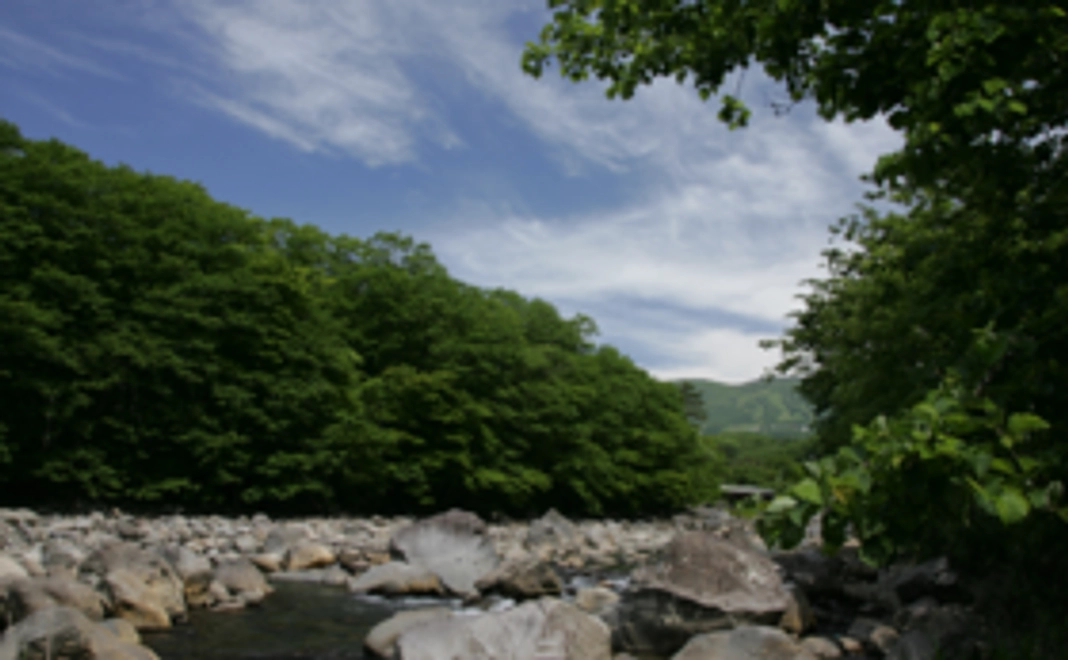 映像総集編DVD、または高品位映像データ