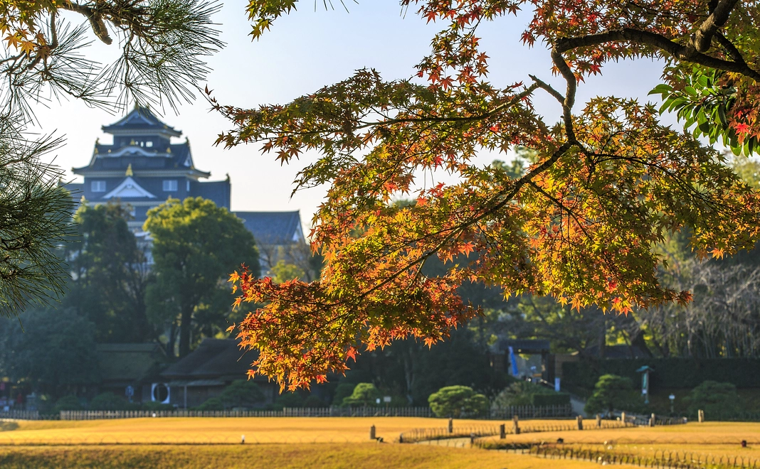 サンキューサポーターコース！キャスト&制作より、お礼メールをお送りさせて頂きます！