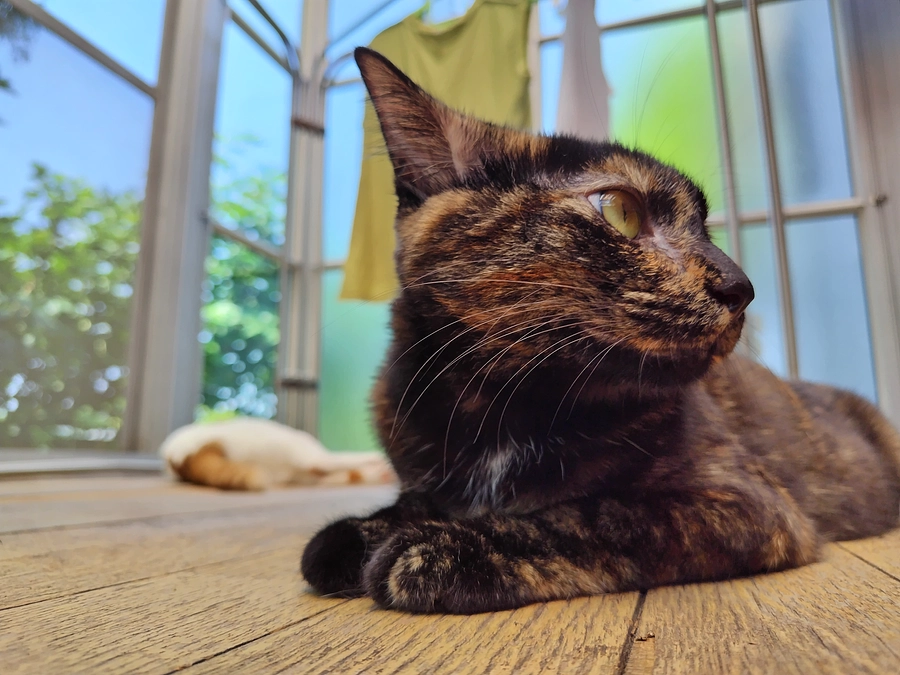 お礼のメッセージ