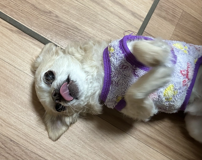 ご支援いただきました皆様に感謝のメールを送らせていただきました。