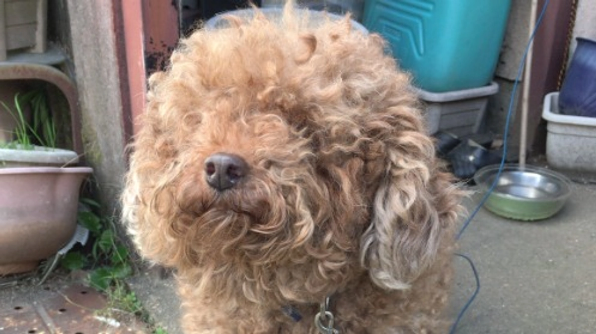 【ご支援・応援ありがとうございます！】第一目標達成の感謝とネクストゴール1000万円の決意