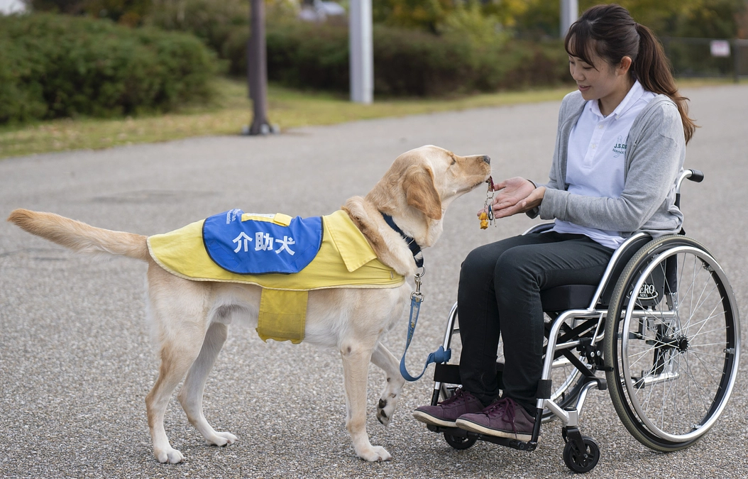 どうして5月22日が「ほじょ犬の日」？