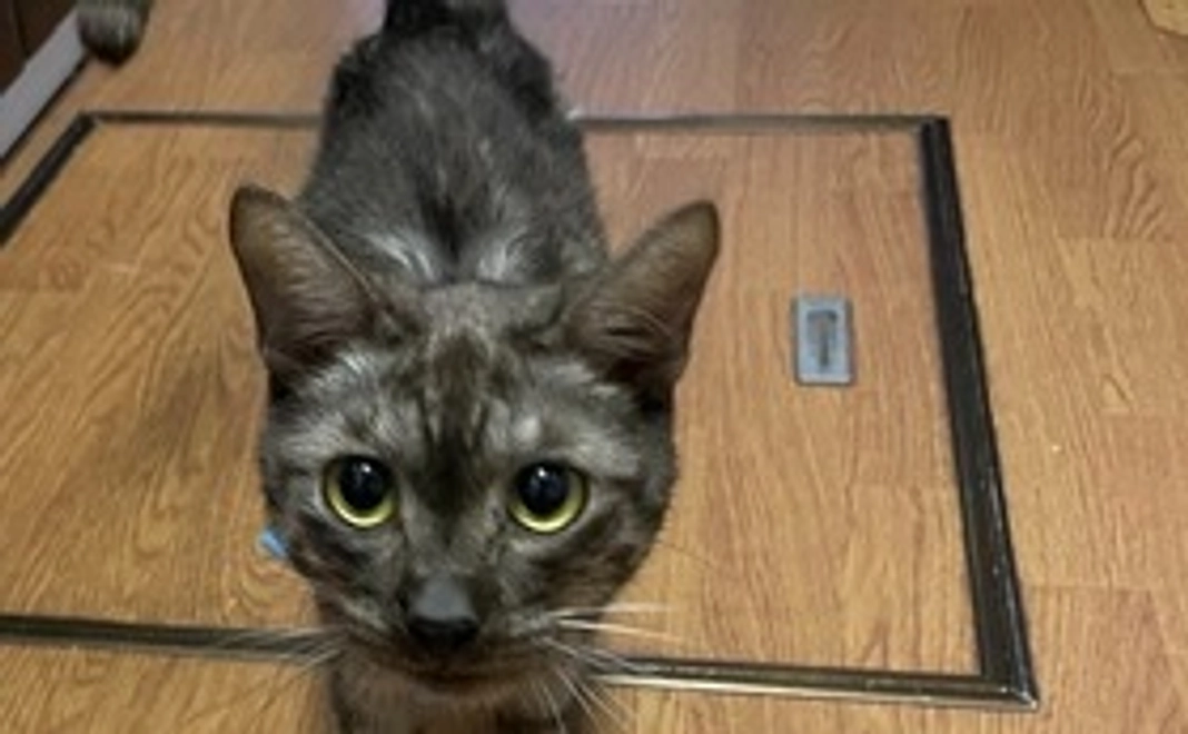 リターン不用・全力応援