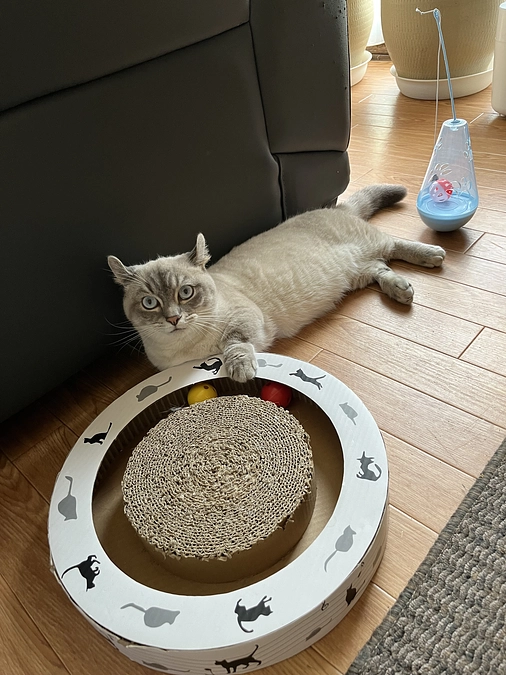 プロジェクト残り７日になりました