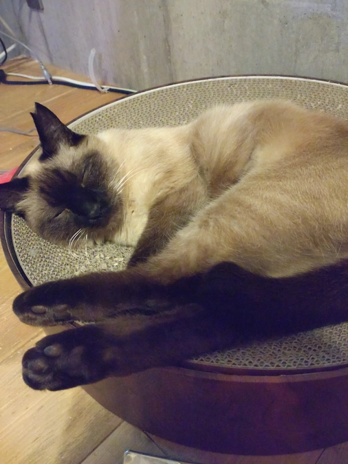 ★2023.6/19 投薬開始67日目★