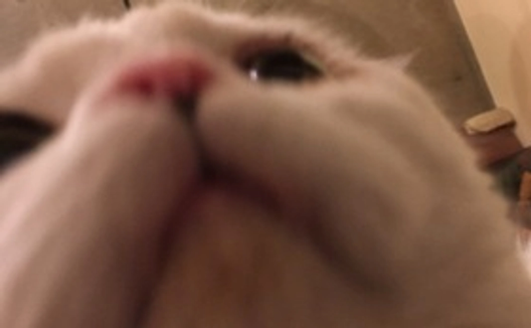 頑張れさぶろう！　感謝のメールをお送り致します