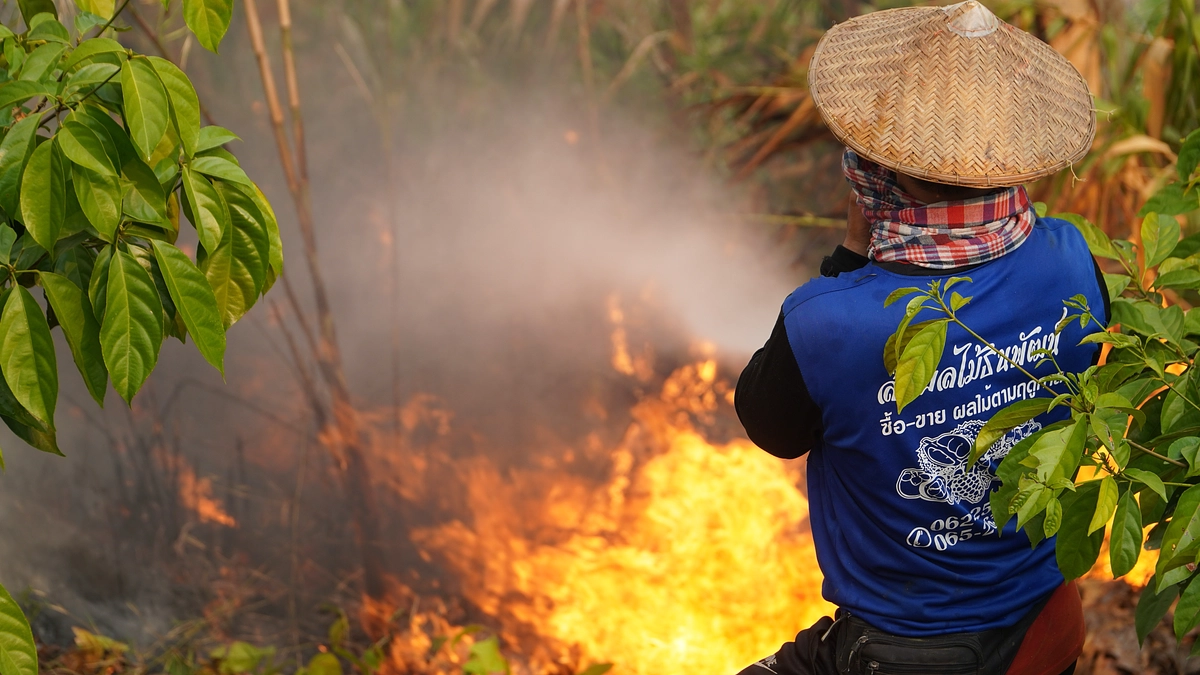 【駐在員ブログ③】山火事発生！目の前に炎、でも動けない！！