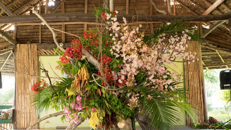 パラオで作った友好のいけばなをテーマに記録映像を作りたい！