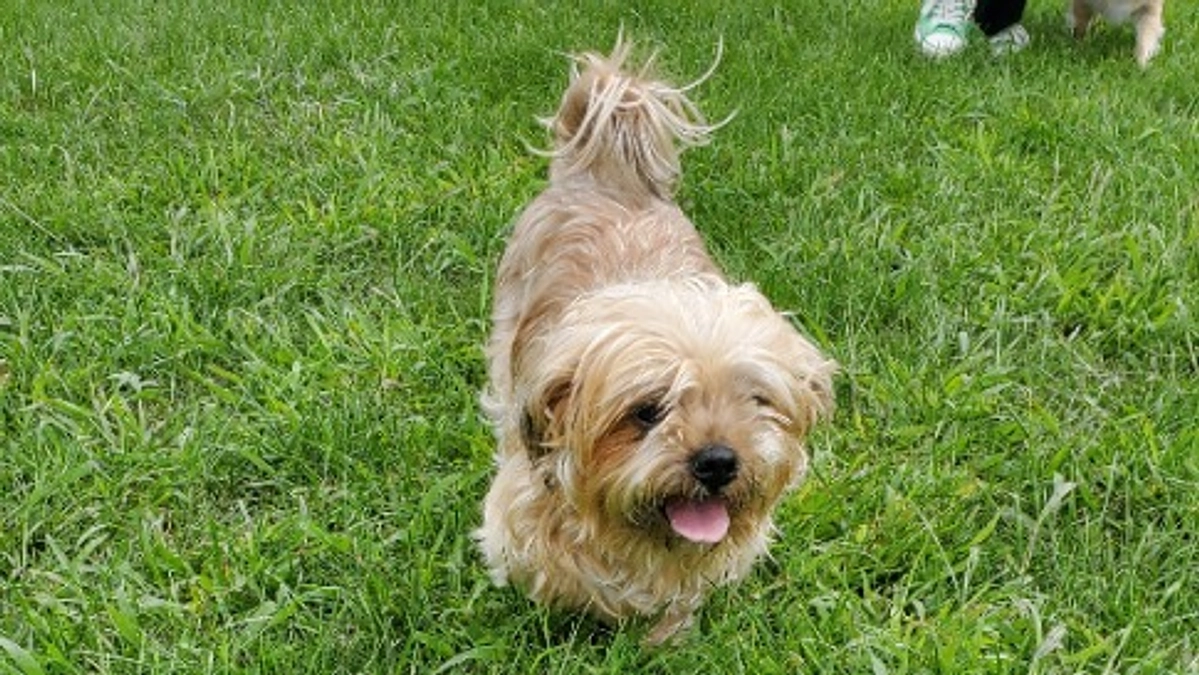 みなさん！本当にありがとうございました！