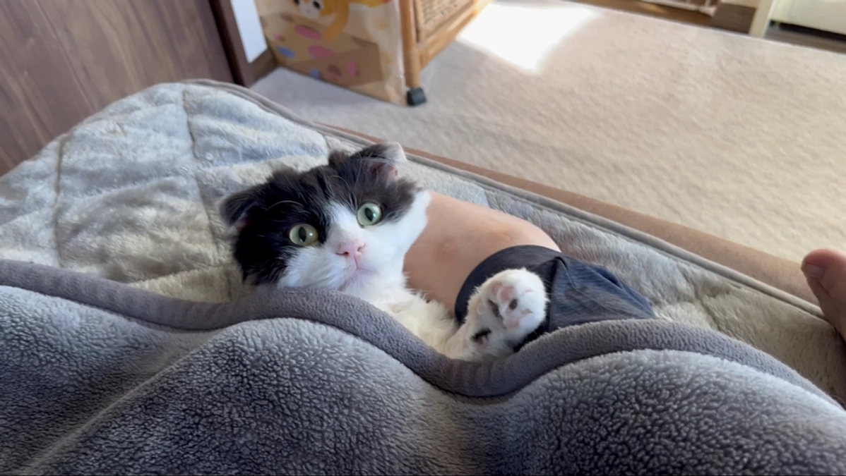 11/22のテオくんの様子