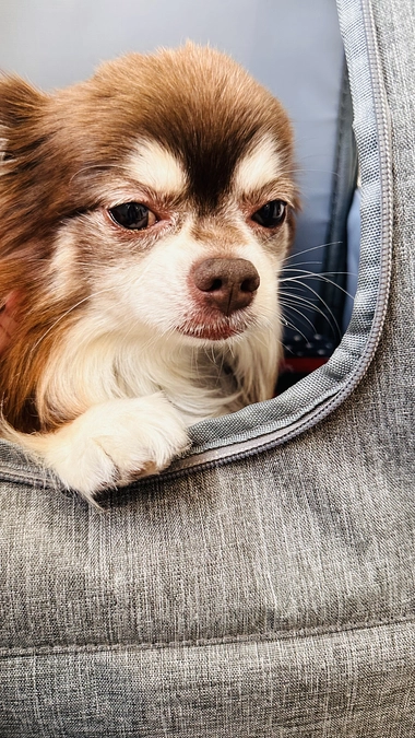 1ヶ月ぶりの病院に行ってきました。