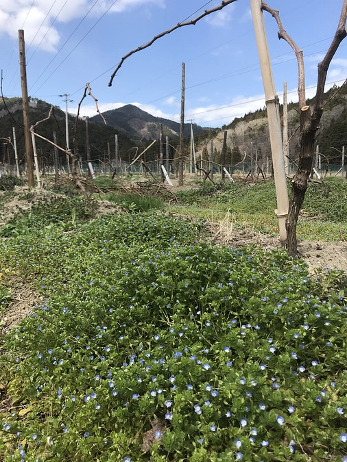 最終目標達成まであと20万円強です！