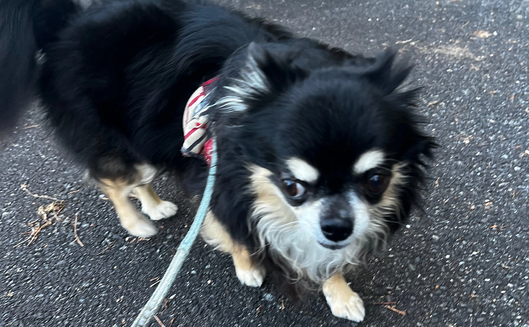 リターンなし1000円