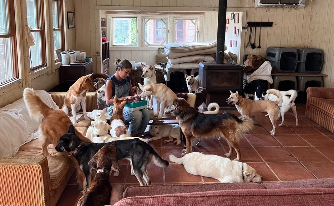 毎月50000円コース