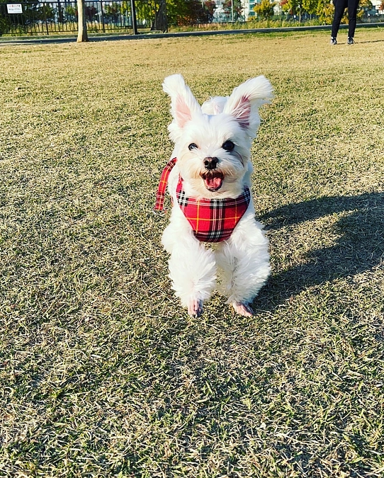 達成しました!ありがとうございます‼️