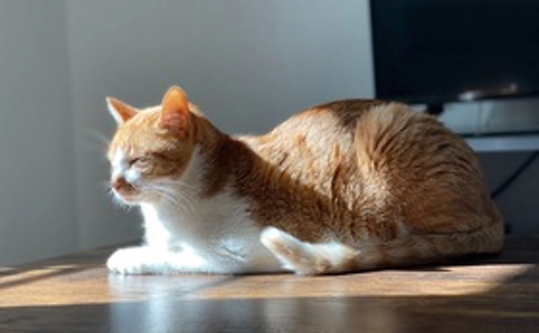 500円のリターン