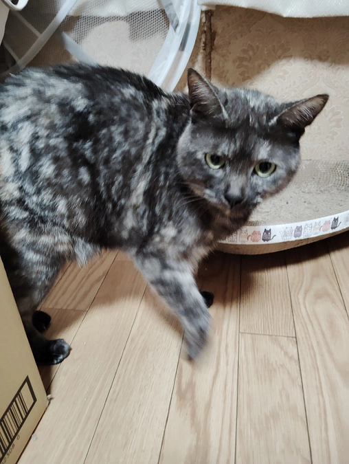 ご支援頂いた皆様へ